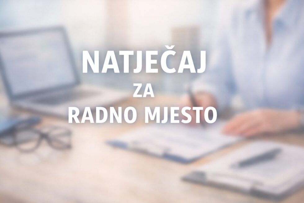 Učitelj/ica Povijesti